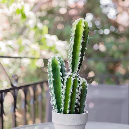 Appartamento Sonata *